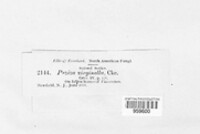 Image Associated With the Occurence